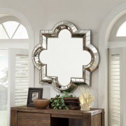 Mirror in the home
